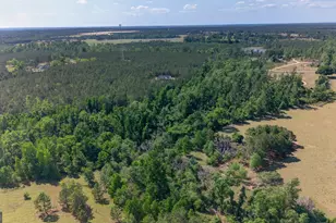 3472 Hwy 46, Soperton, GA 30457 - Photo 5