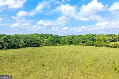 6490 Hwy 145, Carnesville, GA 30521 - Photo 25
