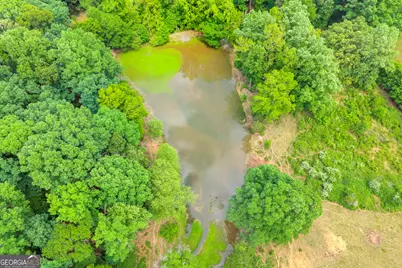 6490 Hwy 145, Carnesville, GA 30521 - Photo 15
