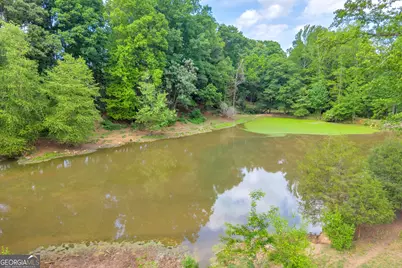 6490 Hwy 145, Carnesville, GA 30521 - Photo 19