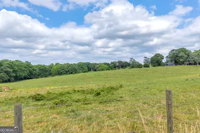 6490 Hwy 145, Carnesville, GA 30521 - Photo 9
