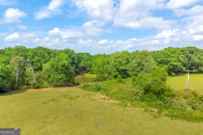 6490 Hwy 145, Carnesville, GA 30521 - Photo 23