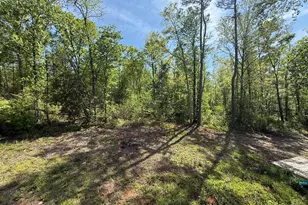 9 Cherokee Resort Rd, Pine Mountain, GA 31822 - Photo 27