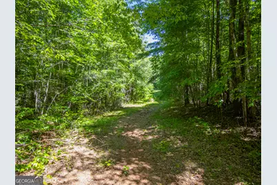 15.74 Acres Wallace Gray Road, Newnan, GA 30263 - Photo 9