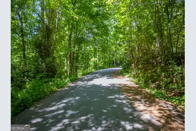 15.74 Acres Wallace Gray Road, Newnan, GA 30263 - Photo 13
