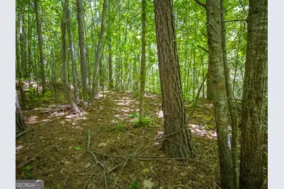 15.74 Acres Wallace Gray Road, Newnan, GA 30263 - Photo 3