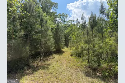 008 George Milling Road, Cuthbert, GA 39840 - Photo 1