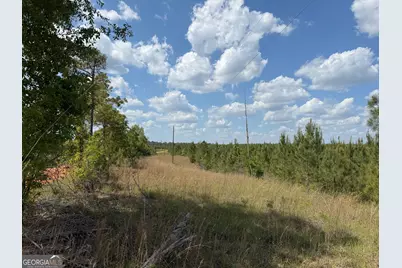 008 George Milling Road, Cuthbert, GA 39840 - Photo 5