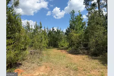 008 George Milling Road, Cuthbert, GA 39840 - Photo 7