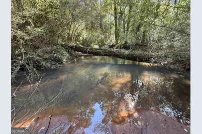 013 George Milling Road, Cuthbert, GA 39840 - Photo 5