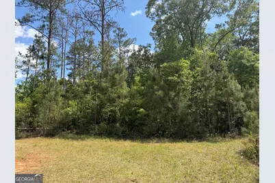 013 George Milling Road, Cuthbert, GA 39840 - Photo 7