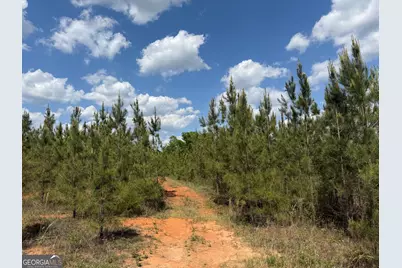 013 George Milling Road, Cuthbert, GA 39840 - Photo 9