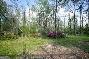 580 Limestone St, Mount Vernon, GA 30445 - Photo 5
