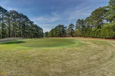 179 Parrot Drive, Monticello, GA 31064 - Photo 65