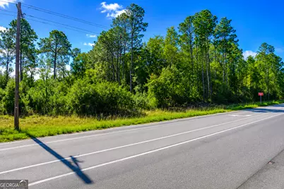 4.62 Acres Valdosta Highway, Manor, GA 31550 - Photo 5
