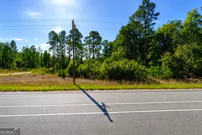 4.62 Acres Valdosta Highway, Manor, GA 31550 - Photo 3
