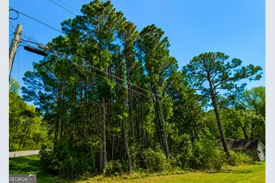 .77 Acre Leary North Road, Ashburn, GA 31714 - Photo 3
