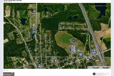 .80 Acre Monnie Street, Ashburn, GA 31714 - Photo 5