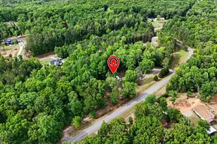 650 N Raburn Rd, Bremen, GA 30110 - Photo 45