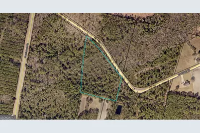 0 Browntown, Jesup, GA 31546 - Photo 1