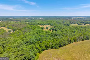1018 Hardman Morris Rd, Colbert, GA 30628 - Photo 97