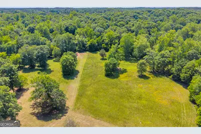 1018 Hardman Morris Road, Colbert, GA 30628 - Photo 9