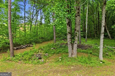 2347 Ball Ground Highway, Canton, GA 30114 - Photo 49