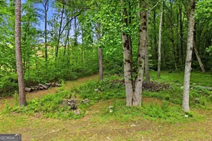 2347 Ball Ground Hwy, Canton, GA 30114 - Photo 49