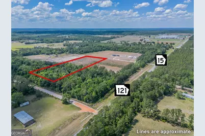 6.6 Acres Bert Rd. Road, Hoboken, GA 31542 - Photo 3