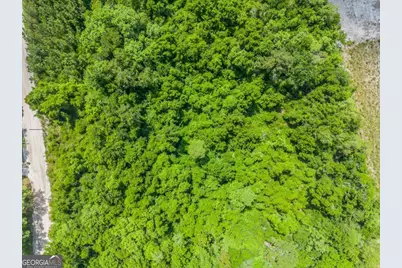 6.6 Acres Bert Rd. Road, Hoboken, GA 31542 - Photo 7
