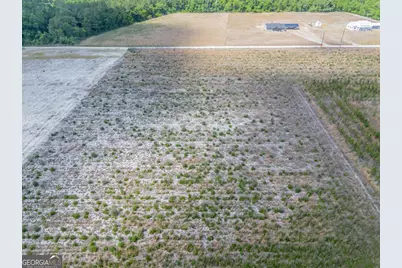 6.6 Acres Bert Rd. Road, Hoboken, GA 31542 - Photo 9