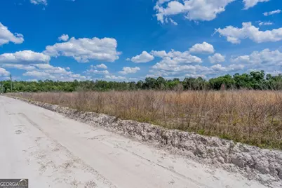 6.6 Acres Bert Rd. Road, Hoboken, GA 31542 - Photo 13