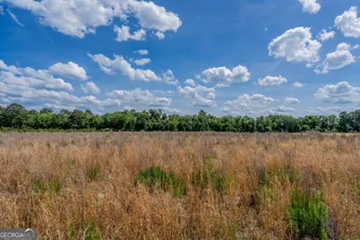 6.6 Acres Bert Rd. Road, Hoboken, GA 31542 - Photo 15
