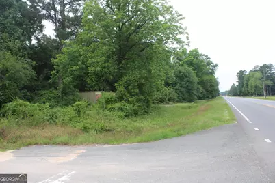 0 S State Route 49 Road, Oglethorpe, GA 31068 - Photo 11