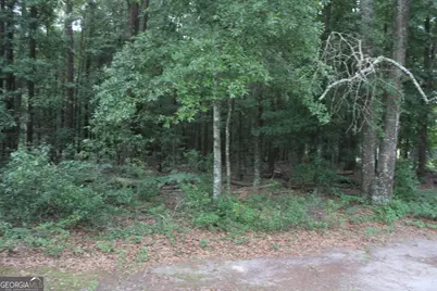 0 S State Route 49 Road, Oglethorpe, GA 31068 - Photo 7