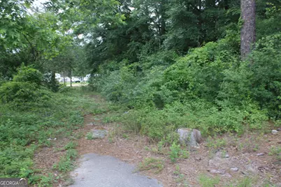 0 S State Route 49 Road, Oglethorpe, GA 31068 - Photo 13