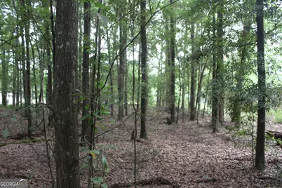 0 S State Route 49 Road, Oglethorpe, GA 31068 - Photo 3