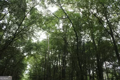 0 S State Route 49 Road, Oglethorpe, GA 31068 - Photo 5