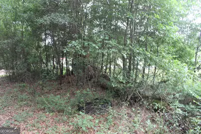 0 S State Route 49 Road, Oglethorpe, GA 31068 - Photo 9