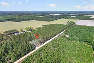 5860 Cantrell Rd, Patterson, GA 31557 - Photo 31