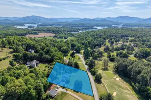 4686 Myers Chapel Rd, Hayesville, NC 28904 - Photo 3