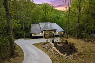 148 Brookwood Dr, Blue Ridge, GA 30513 - Photo 41