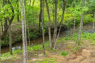 148 Brookwood Dr, Blue Ridge, GA 30513 - Photo 45