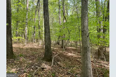 3 Curry Falls Trail, Athens, GA 30607 - Photo 3
