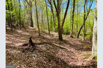 3 Curry Falls Trail, Athens, GA 30607 - Photo 1
