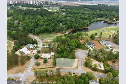 Lot 15 Blue Heron Trail, Waverly, GA 31565 - Photo 1