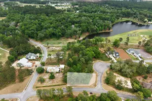 Lot 15 Blue Heron Trail, Waverly, GA 31565 - Photo 1