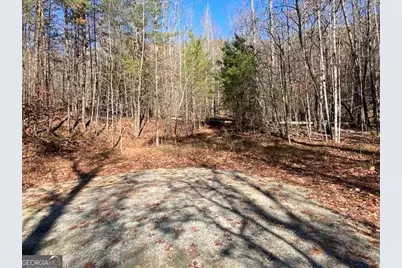 8 Cameron Point, Cleveland, GA 30528 - Photo 5