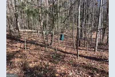 8 Cameron Point, Cleveland, GA 30528 - Photo 3