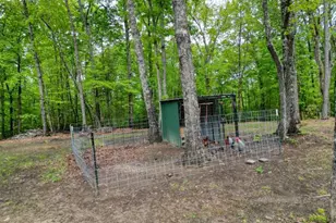 478 Flat Top Rd, Blairsville, GA 30512 - Photo 15